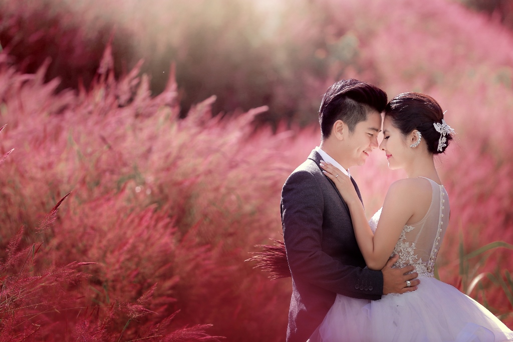 chụp hình cưới mùa cỏ hồng đà lạt